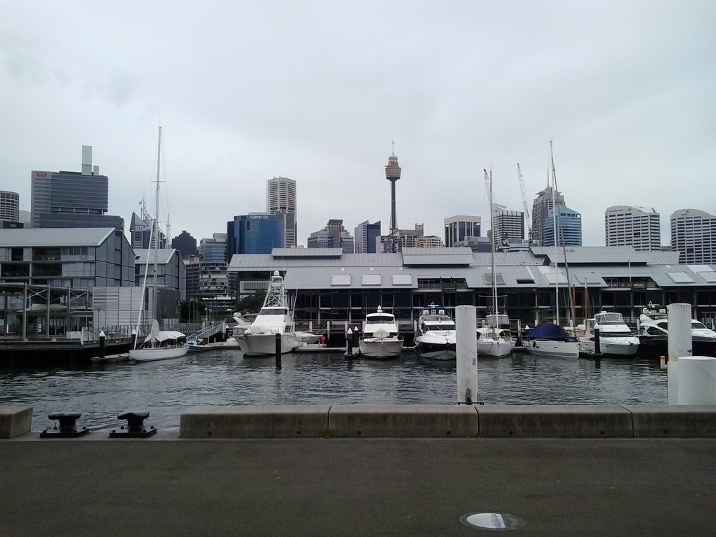 Pyrmont to Balmain walk and Ferry Ride to the city.