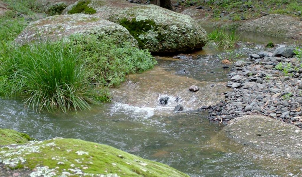 Washpools Towarri NP