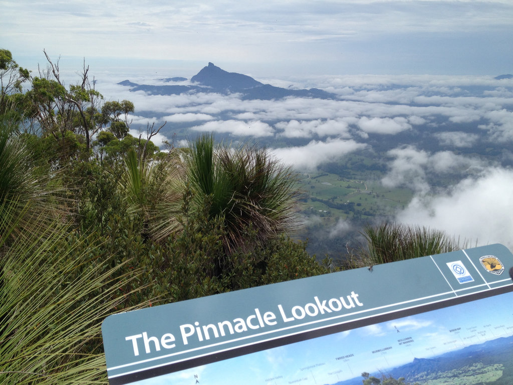 The Pinnacle Lookout