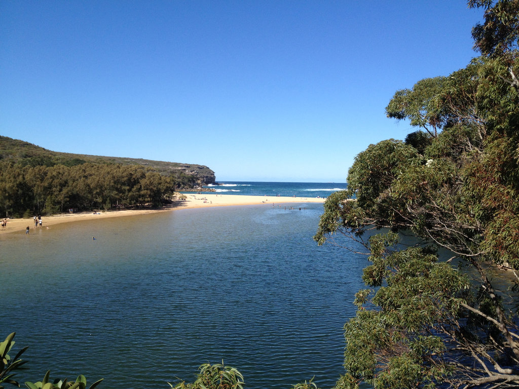 Part of the coastal walk in the Royal National Park