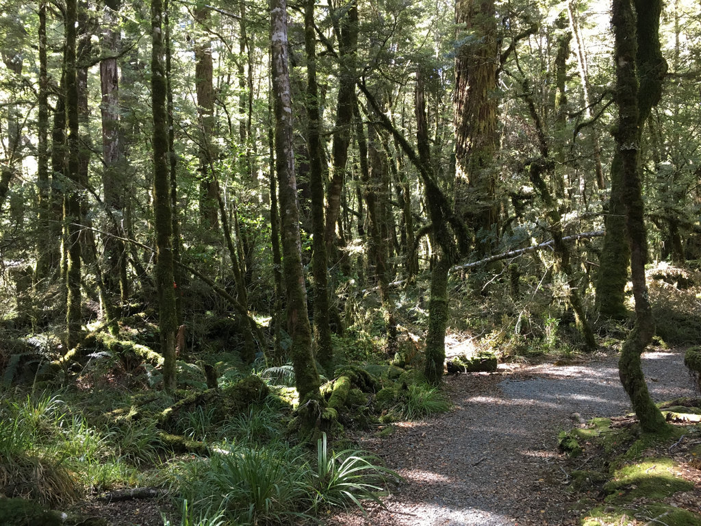Cascade Creek Nature Trail