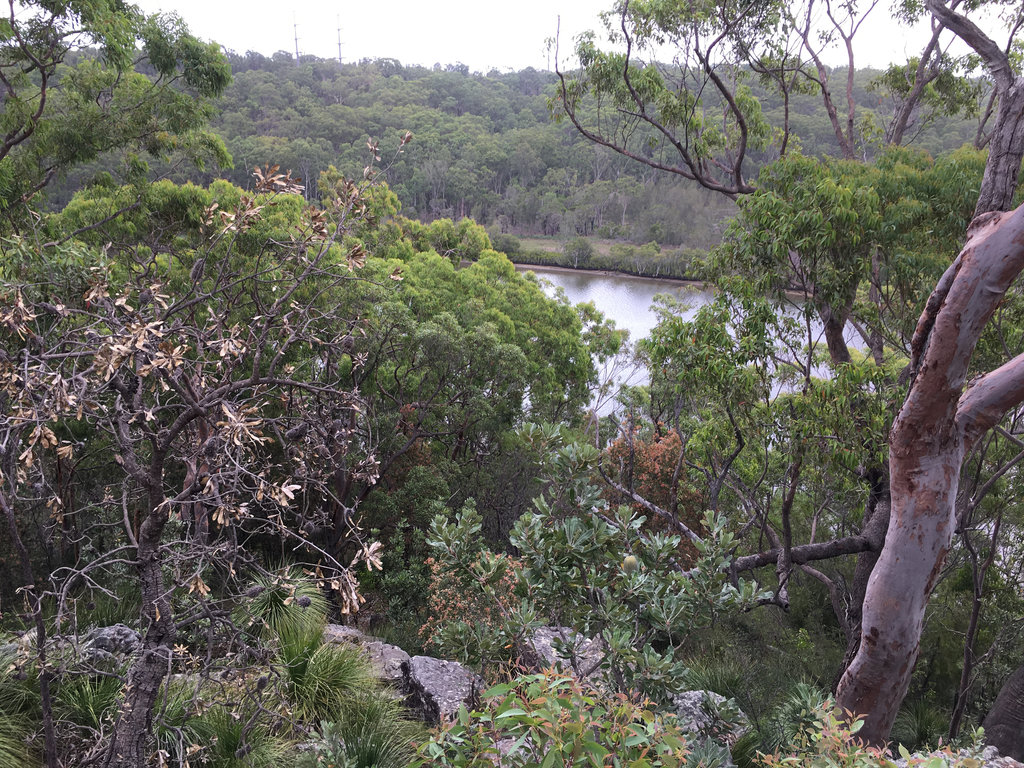 Along the Georges River