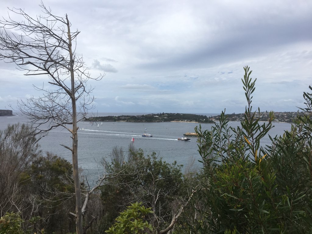 Middle Head