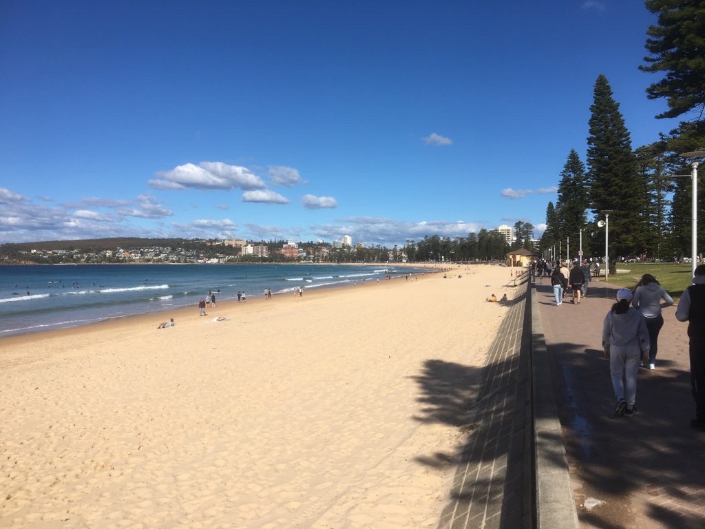 Curl to Manly