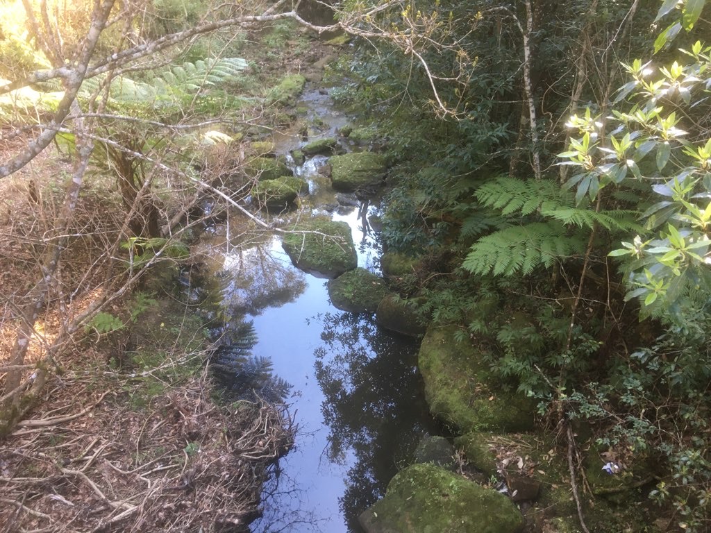 Carrol Creek Loop