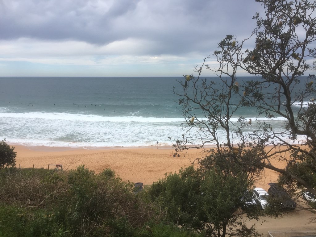 Northern Beaches Wander