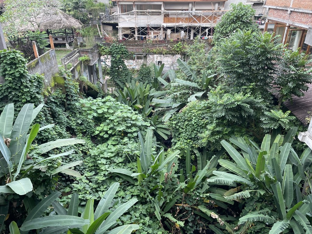 Ubud 1