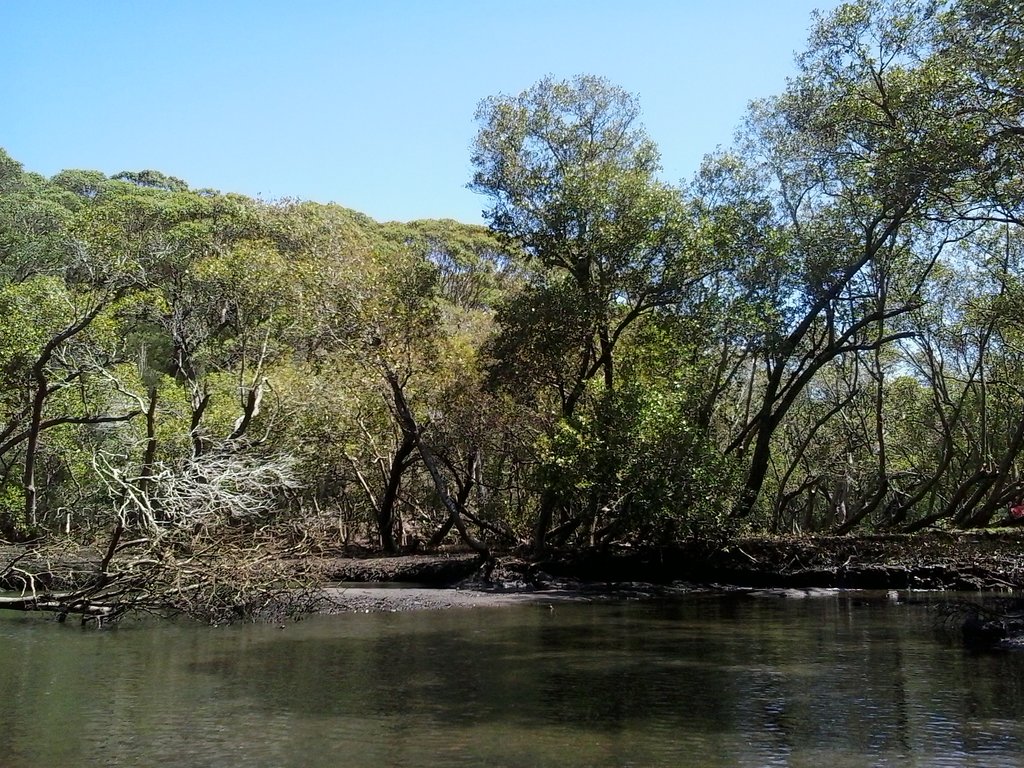 Middle Harbour Creek