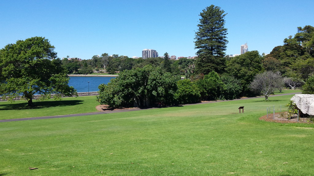 Manly Ferry Ride and  Stroll to the Gallery