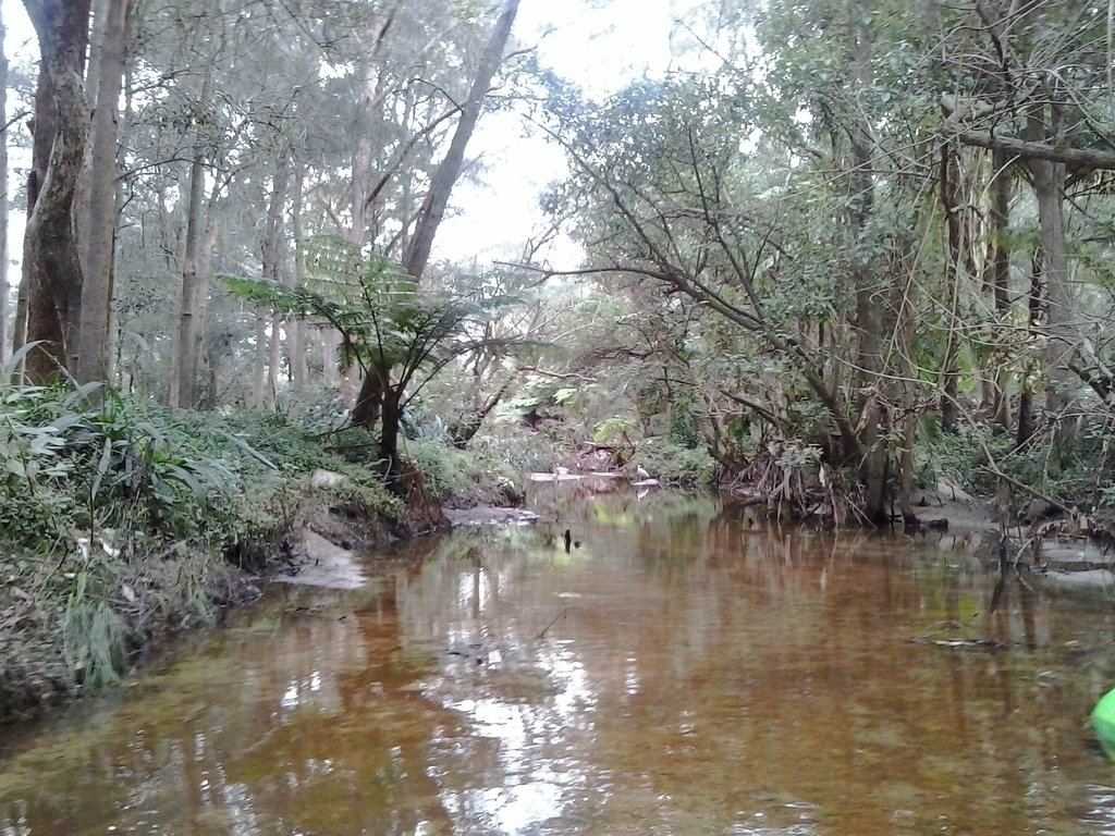 South Creek from Narrabeen Lake