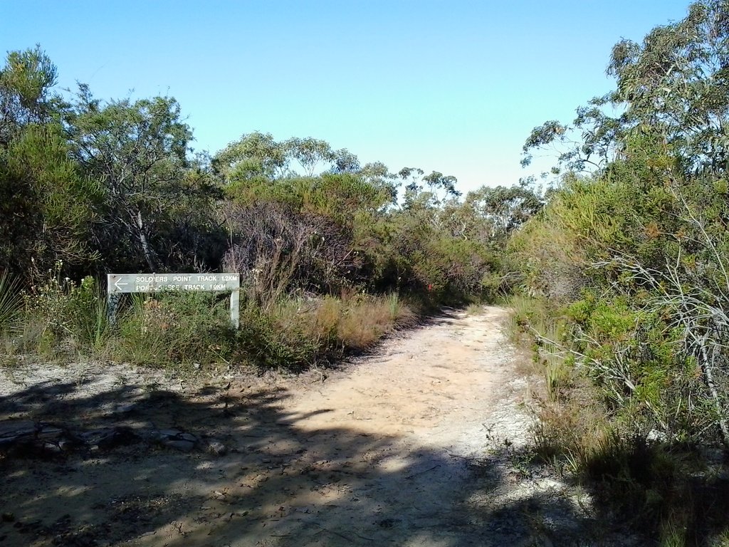 Fork to Portuguese Track