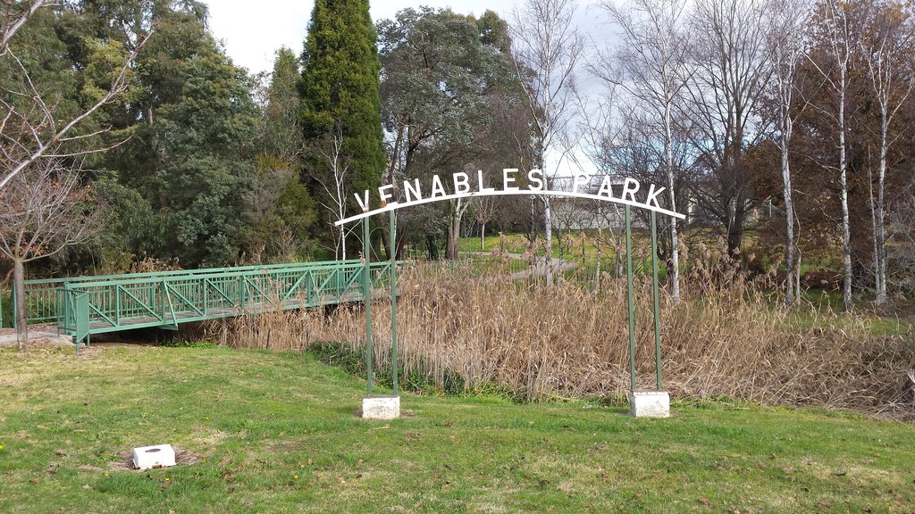 Bowral Cherry Tree Walk