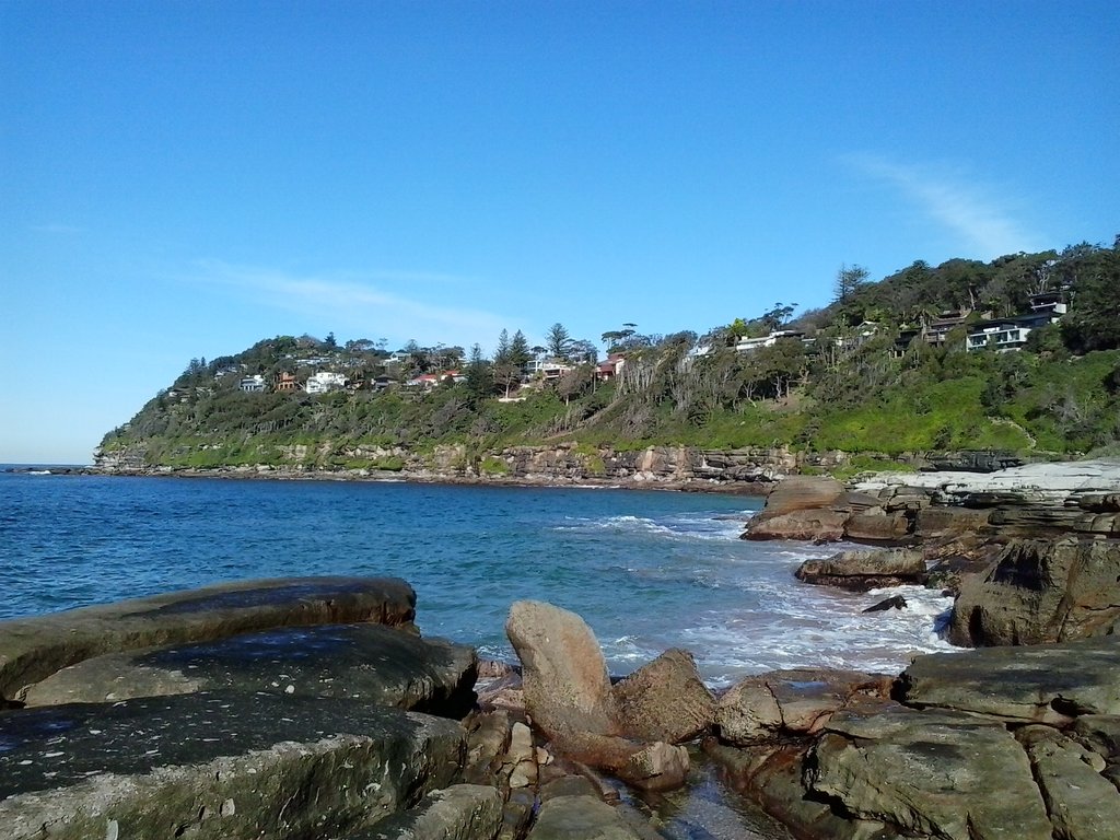 Wandering around Whale Beach