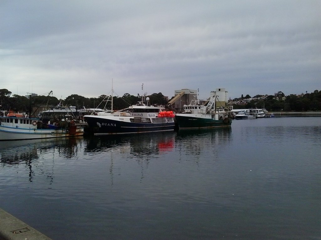 Sydney Fish Market