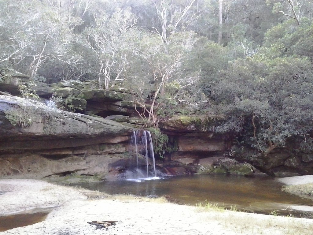 Warriewood Beach to Warriewood Escarpment