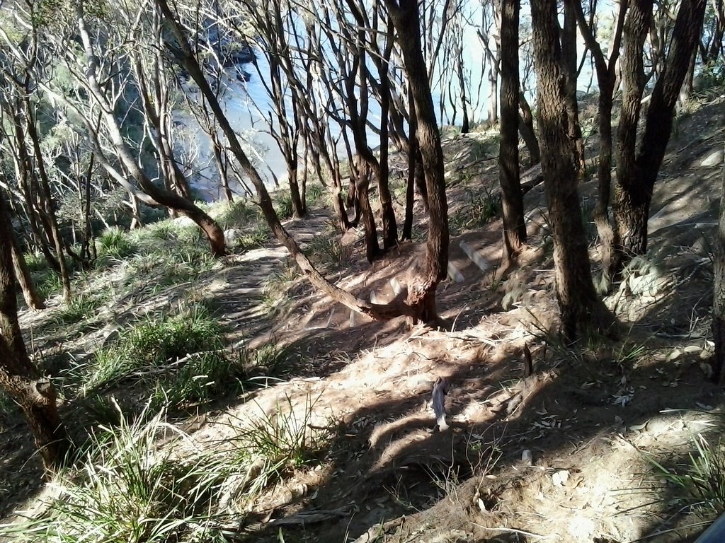 Track meandering through the t