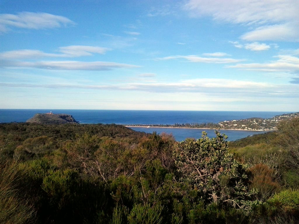 More views across the bush to 