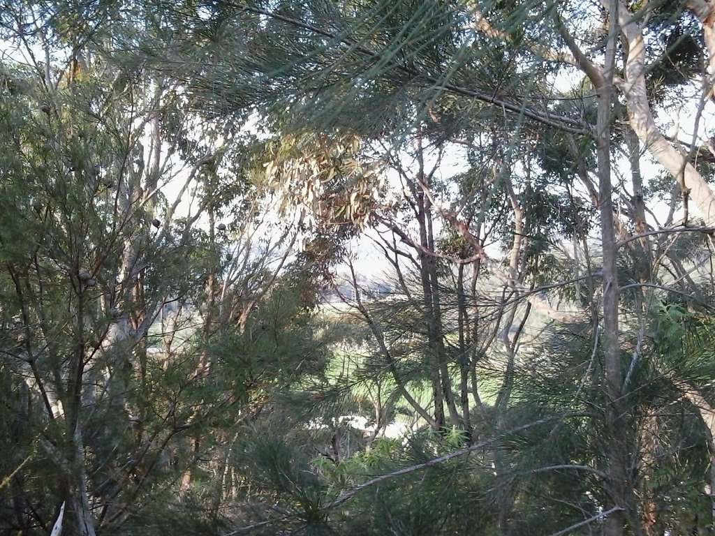 Narrabeen Lake