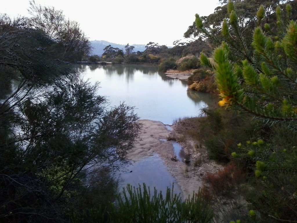 Exploring Dee Why Recreation Reserve