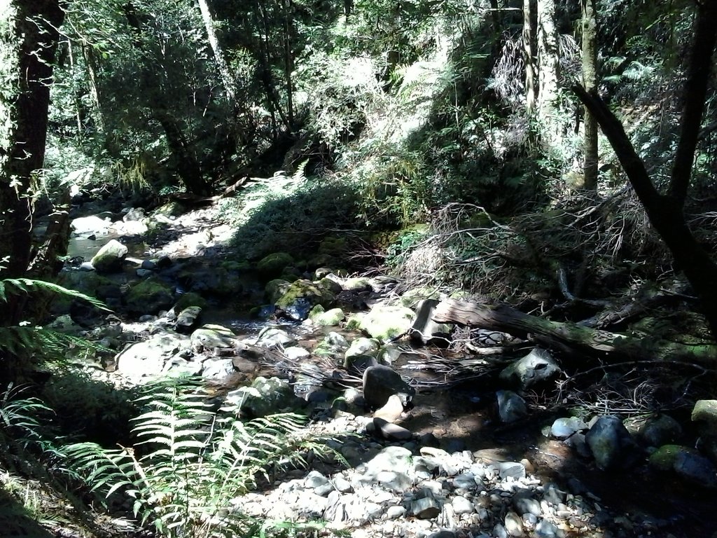 Cascades of Five Day Creek