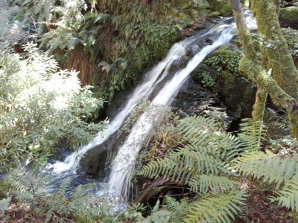 Twin Falls Cascade Walk