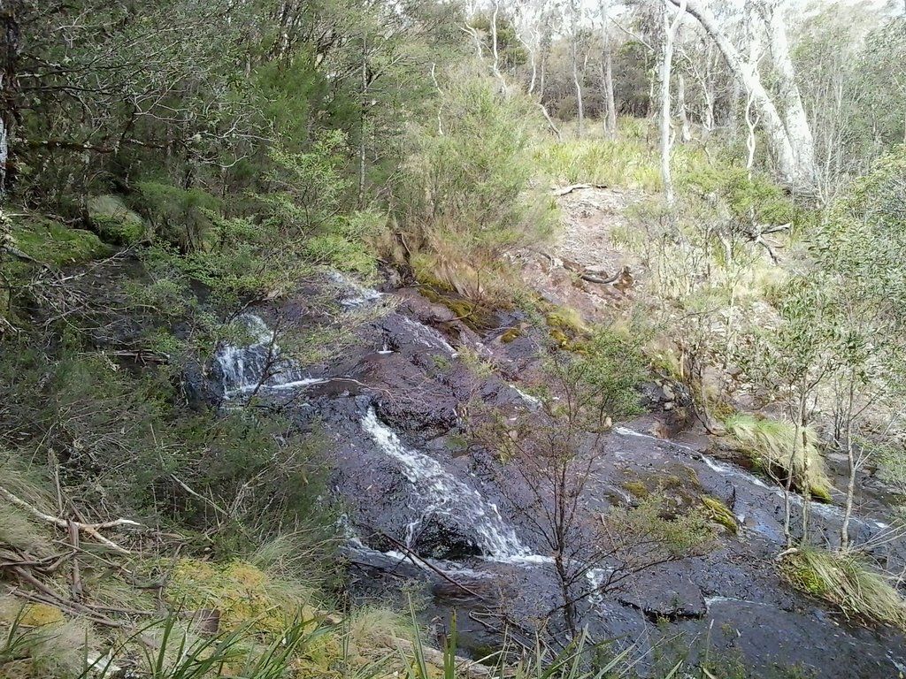 Tea Tree Falls