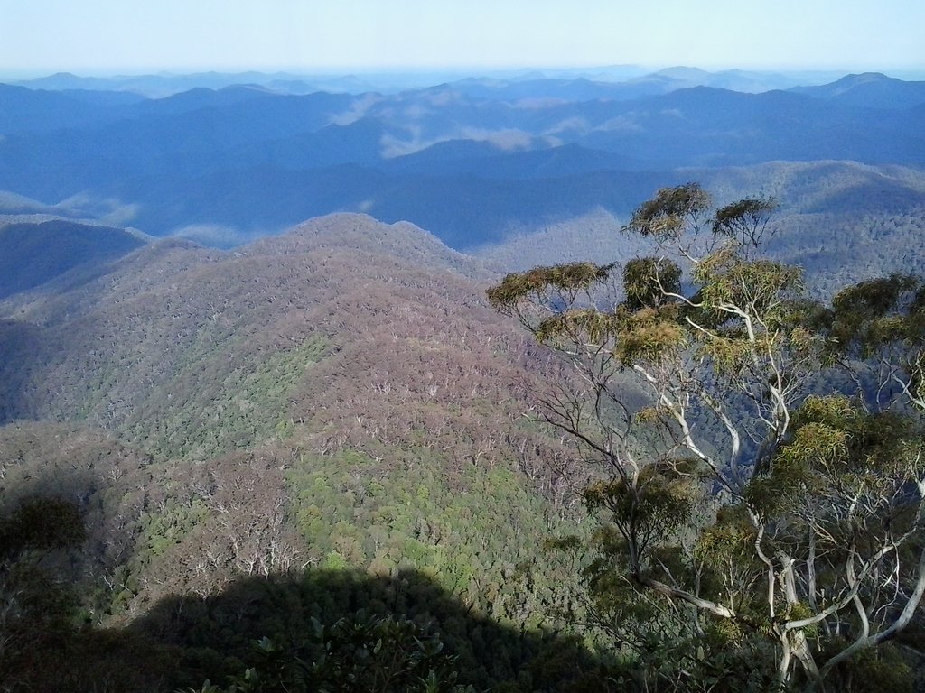 View from the Point Lookout.