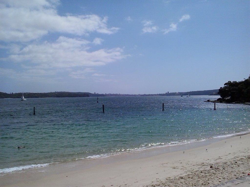 On the beach at Nielson Park