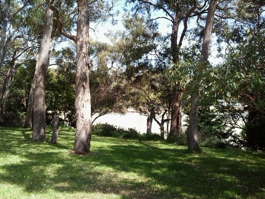 The Beach in Vaucluse Bay