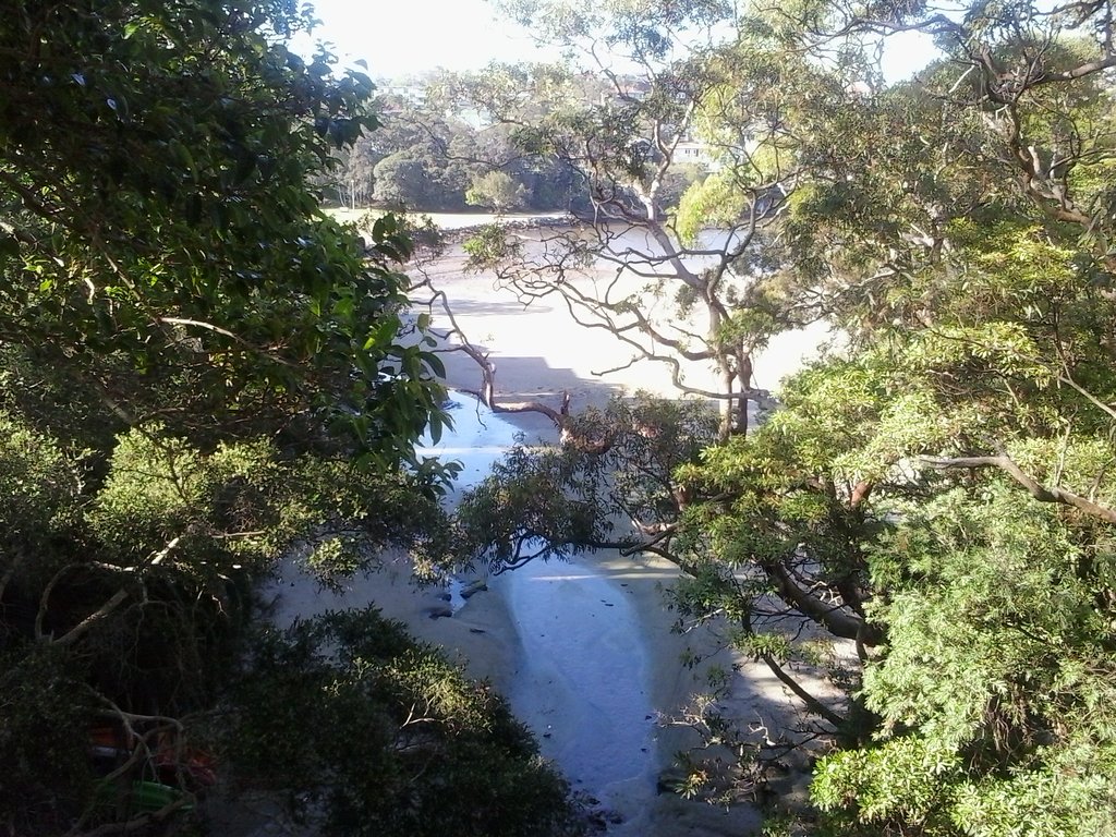 View from the Bridge