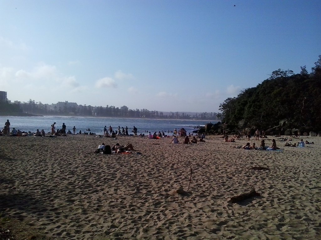 Shelly Beach