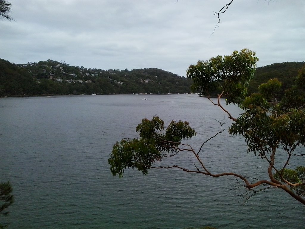 Looking down Middle Harbour