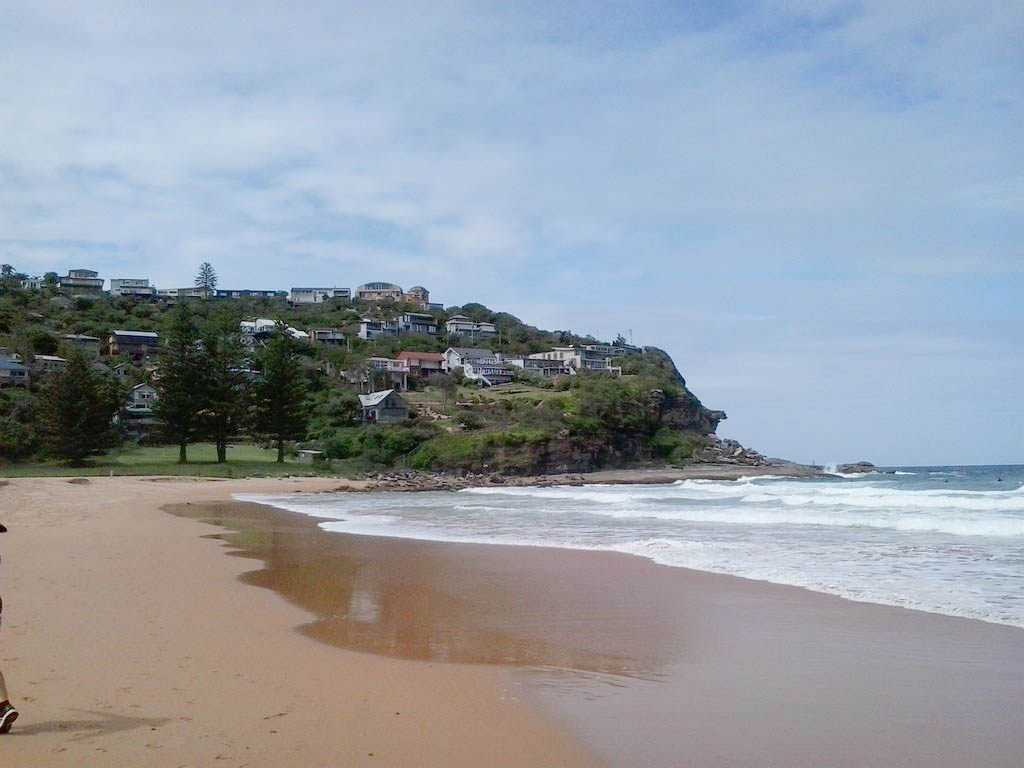 Whale Beach to Palm Beach Circuit