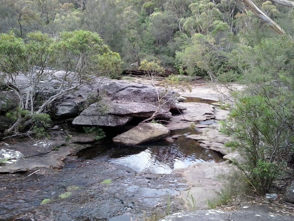 Heath - Bare Creek - Frenchs Creek Tracks