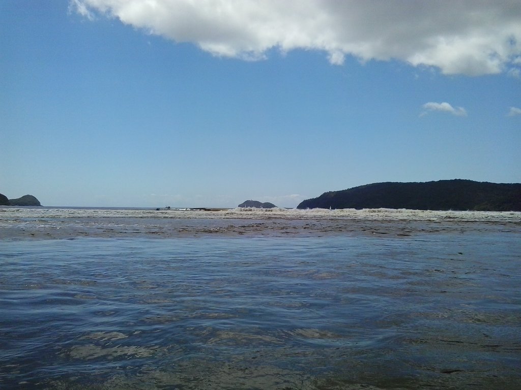 Lion Island and Barrenjoey Hea