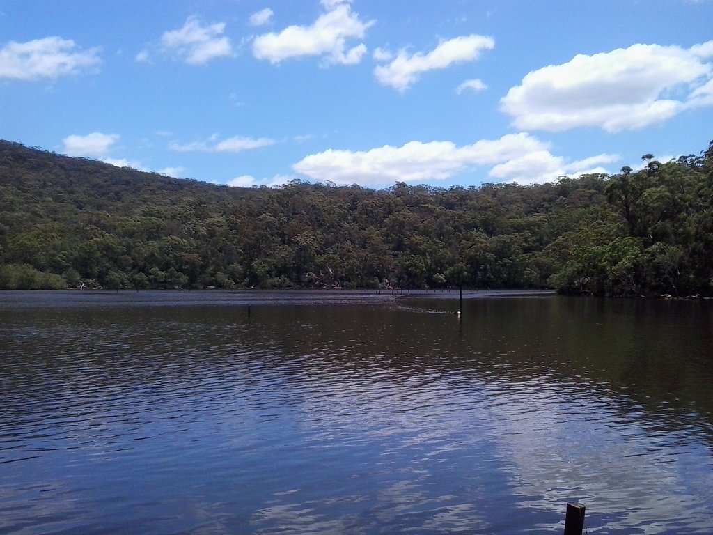 Oyster Beds