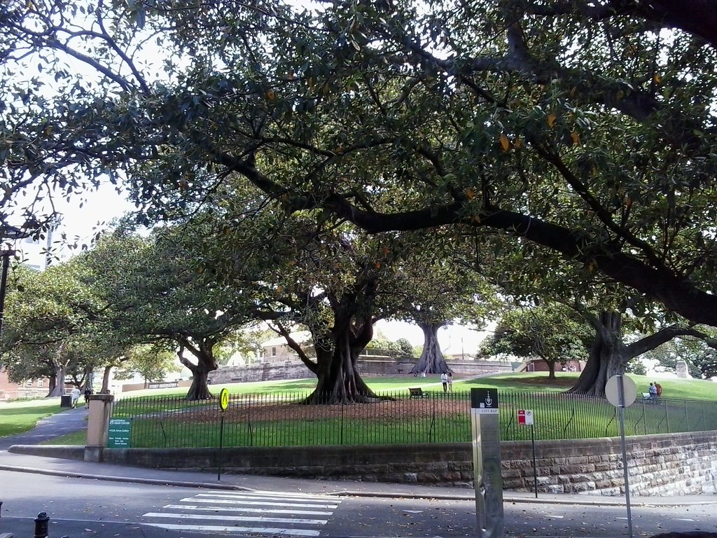 Sydney Observatory