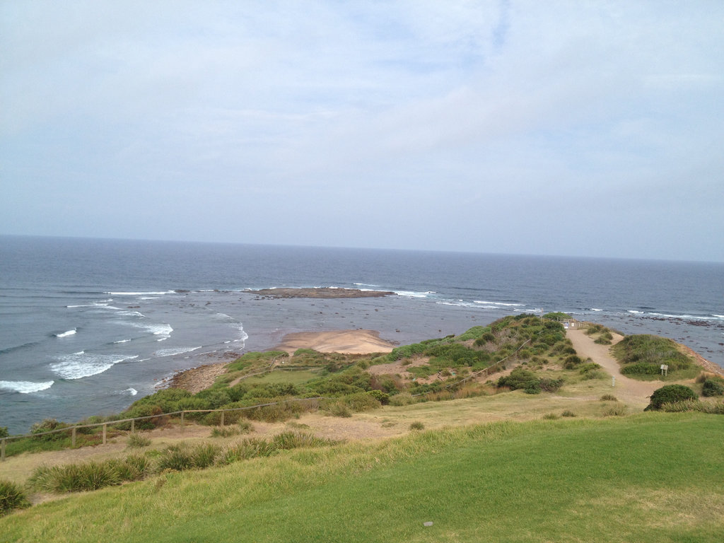 Collaroy to Long Reef and Back.