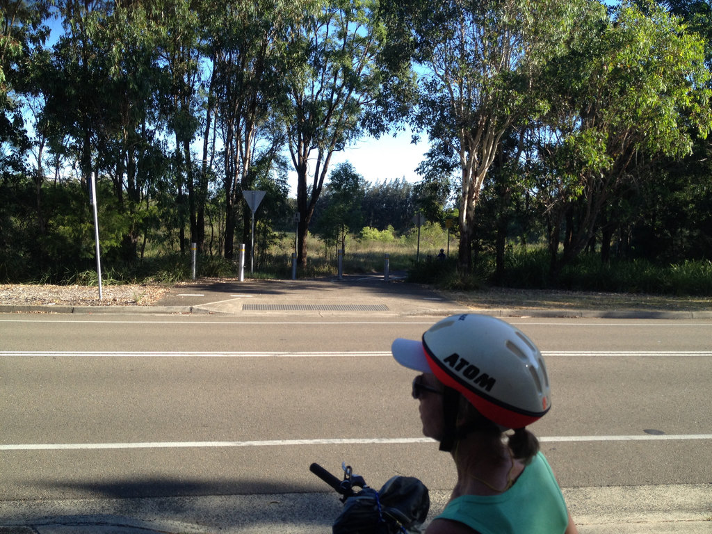 Meadowbank to Haslams Creek and back.