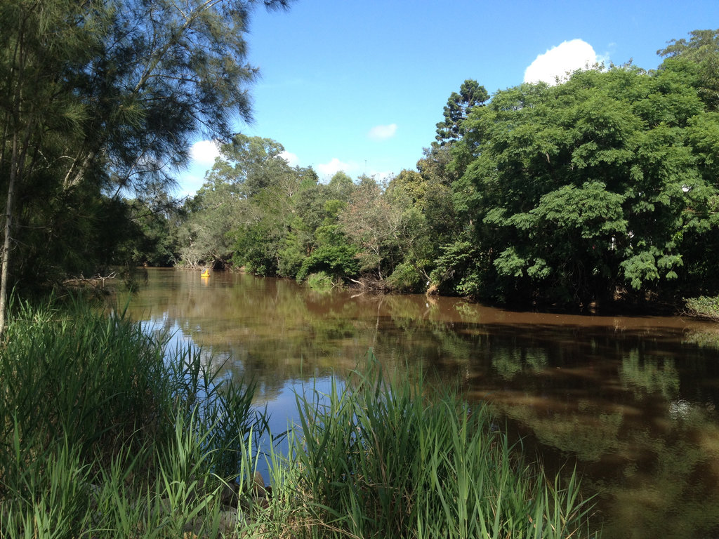 Wander awound Wyong