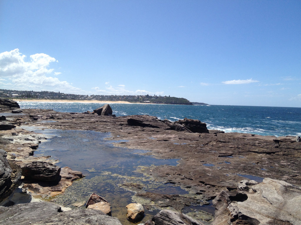 Looking north to the Beaches.