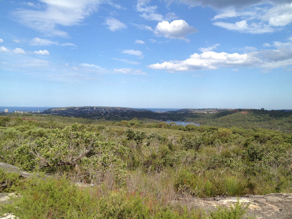 Alambie Hinterland