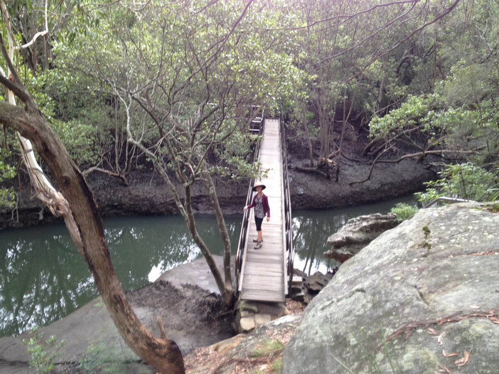 Bridge to the Wetlands