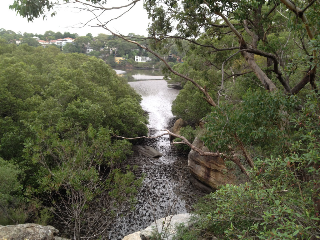 Lane Cove River Loop