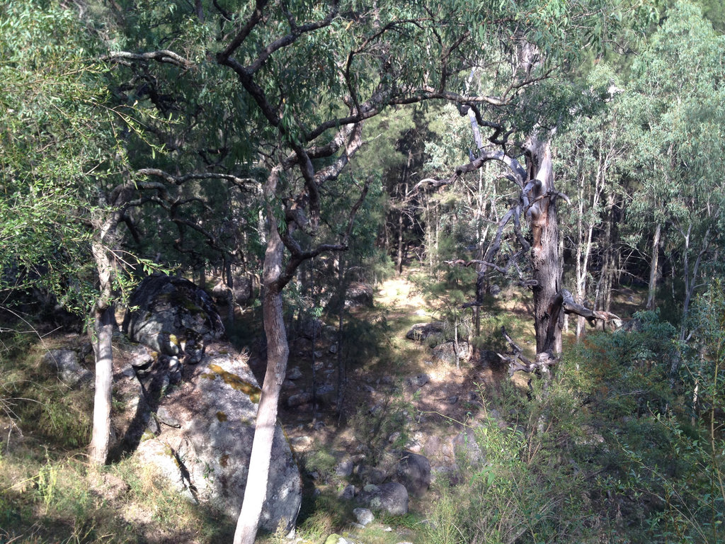 Rocky Gorge or Gorgeous Rock