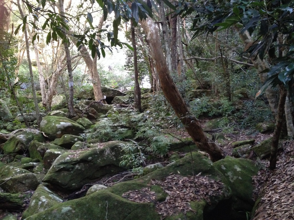 Exploring McCarrs Creek