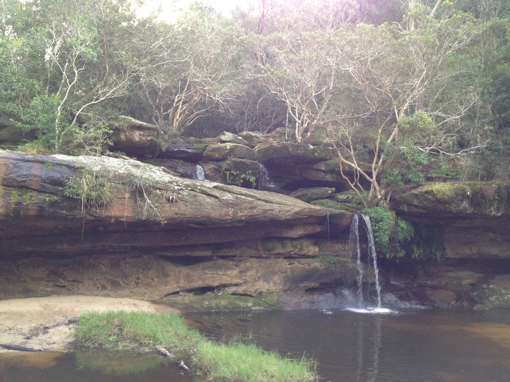 Wandering the Wonderful Warriewood Wetlands