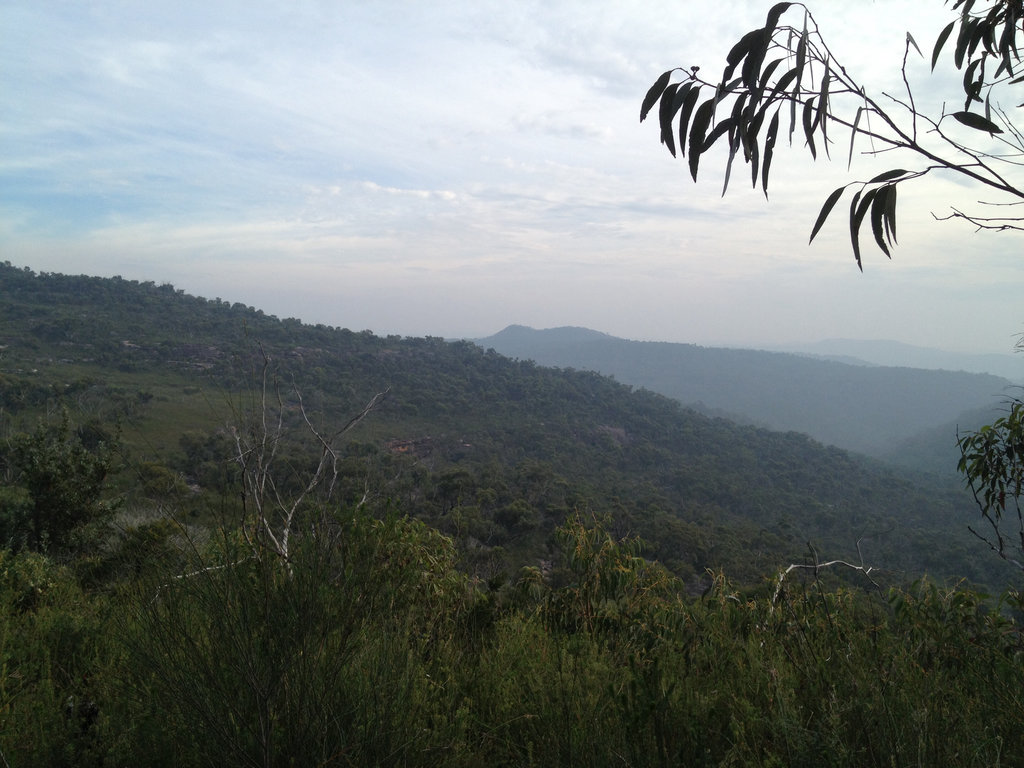 Nice bush views.