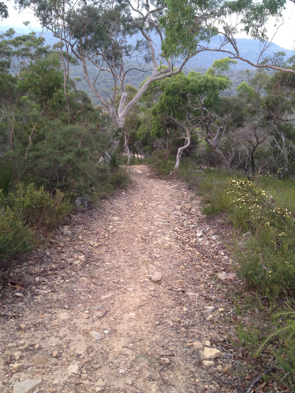 Stoney Track