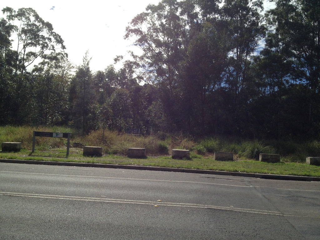 Lisarow Wetlands.